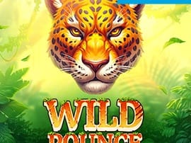 Wild Pounce thumbnail